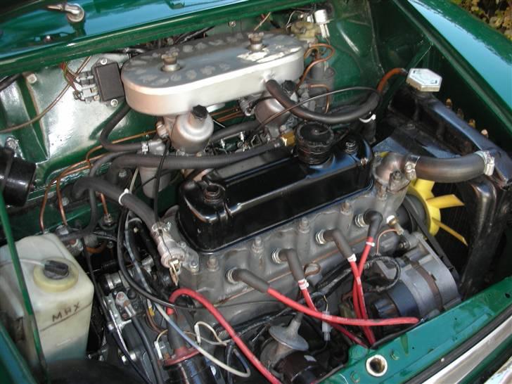 Mini Mascot billede 15