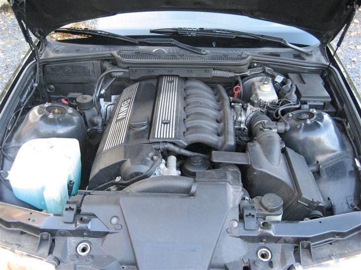 BMW 323ti compact M SOLGT billede 13