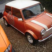 Rover mini cooper
