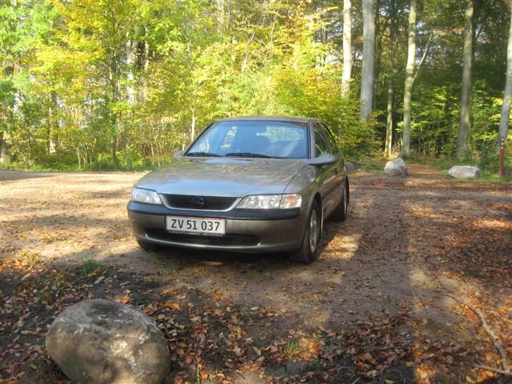 Opel vectra b   *solgt* billede 14
