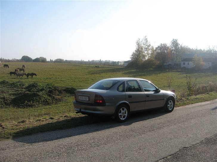 Opel vectra b   *solgt* billede 16