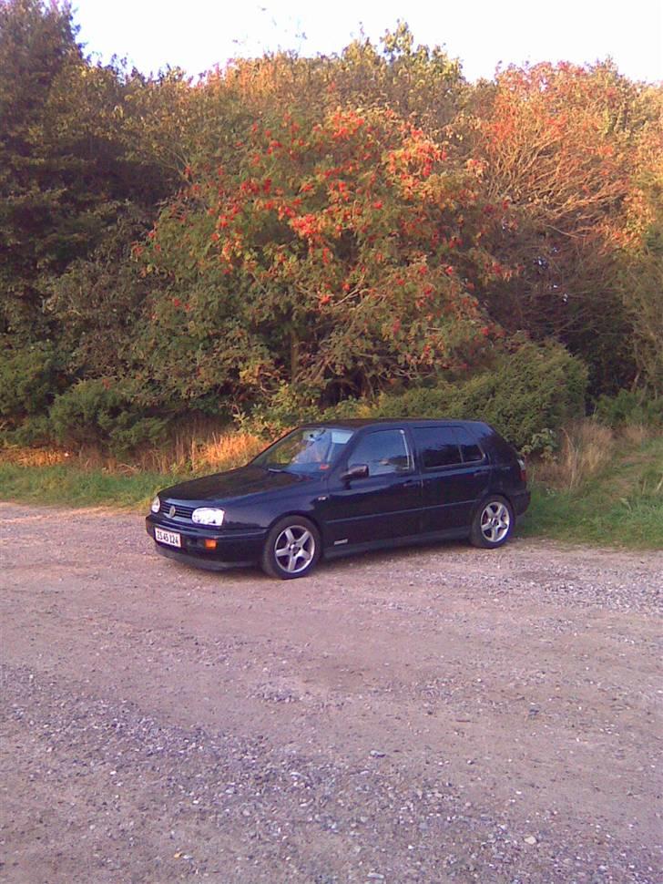 VW golf 3 1.8 billede 7