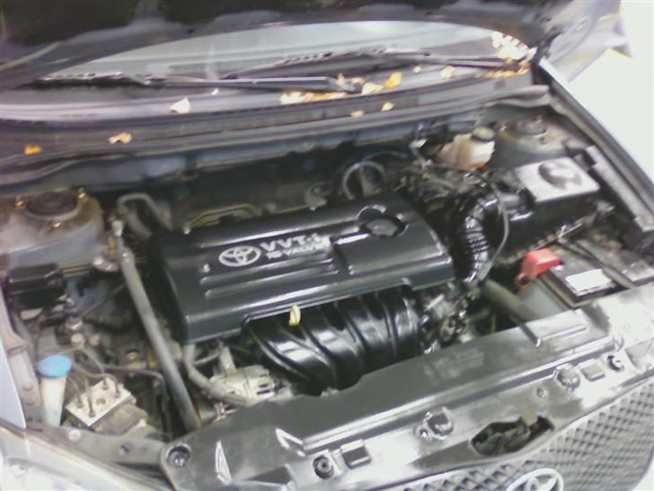 Toyota corolla billede 13