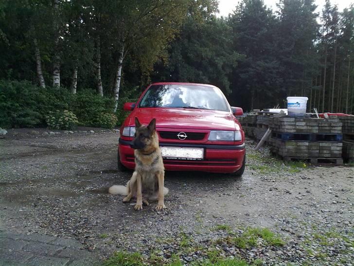 Opel vectra 2.0 i 4 dørs bytte billede 15