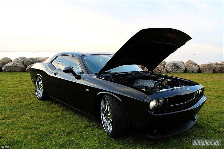 Dodge challenger srt8 billede 2