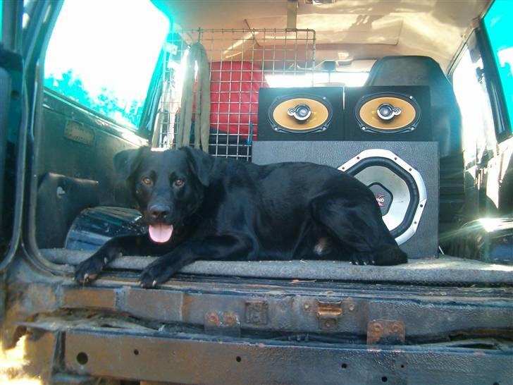 Toyota Landcruiser LJ70 billede 11