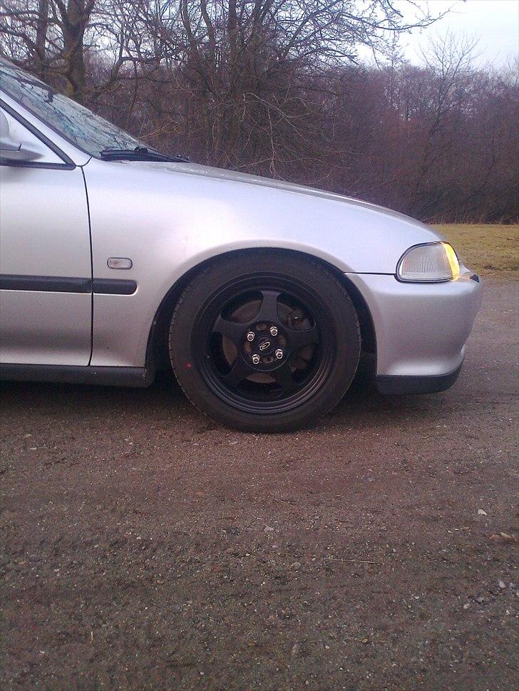 Honda Civic Quartet billede 3