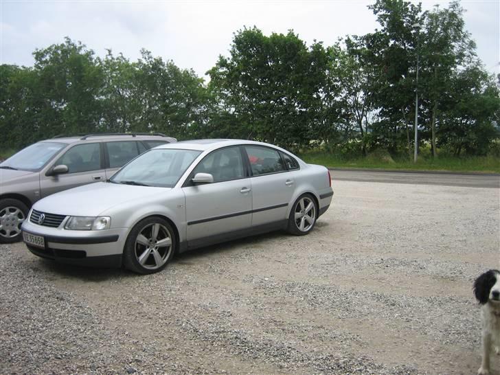 VW passat billede 3