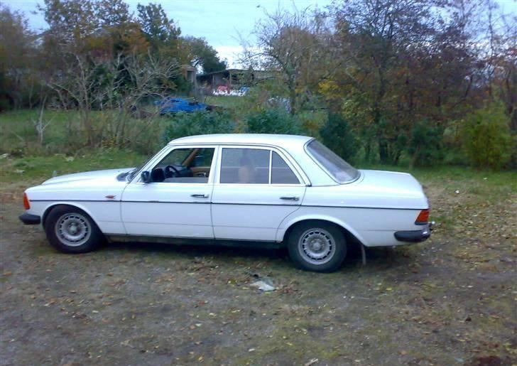 Mercedes Benz 300 D W123 billede 6