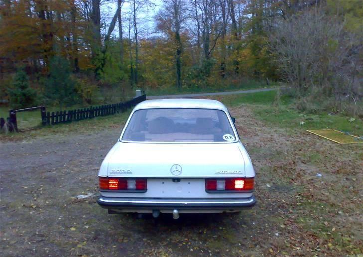 Mercedes Benz 300 D W123 billede 7