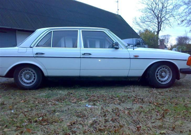 Mercedes Benz 300 D W123 billede 8