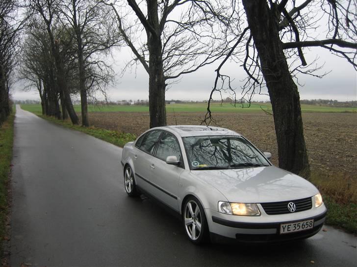 VW passat billede 14