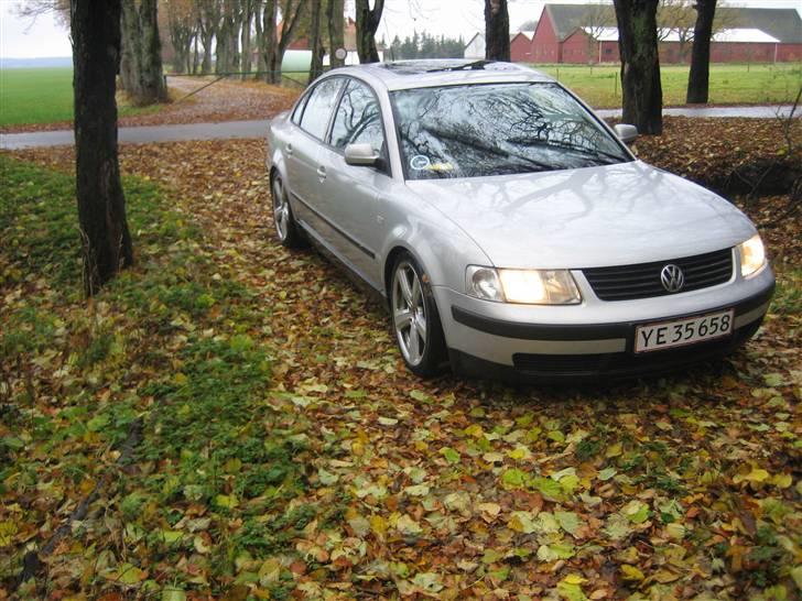 VW passat billede 15