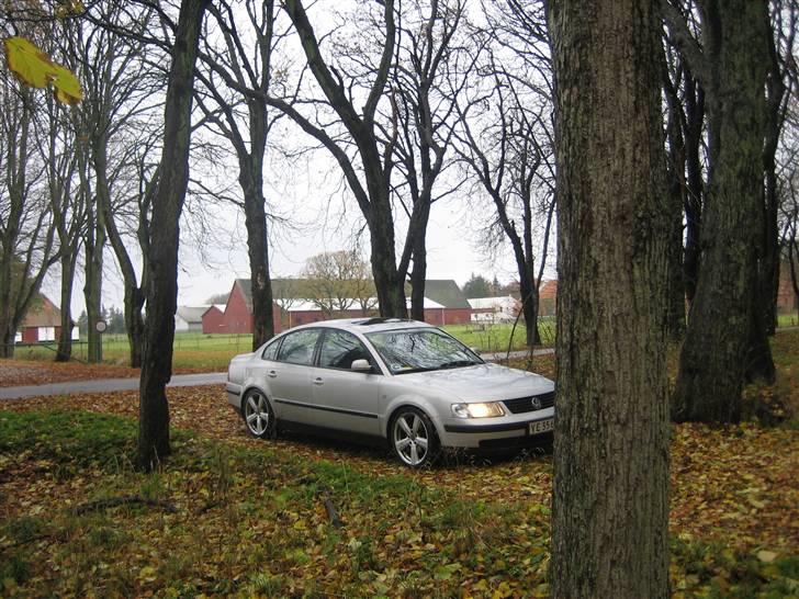 VW passat billede 16