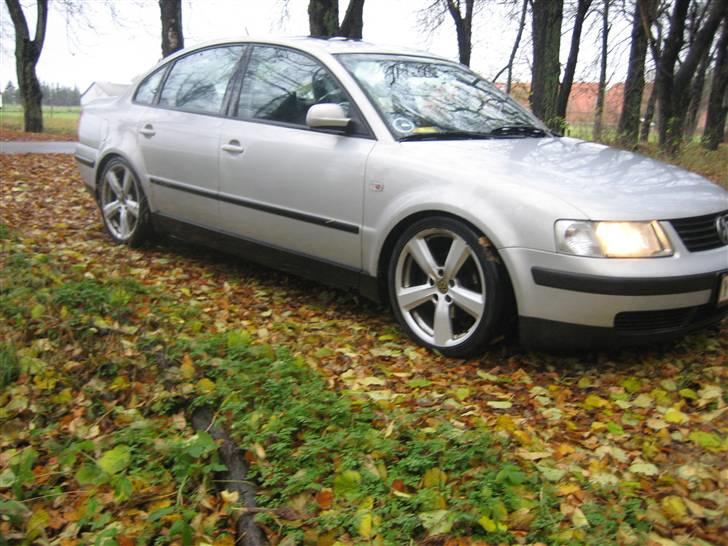 VW passat billede 17