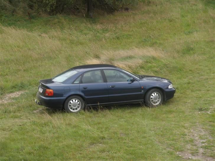 Audi a4 b5 billede 10