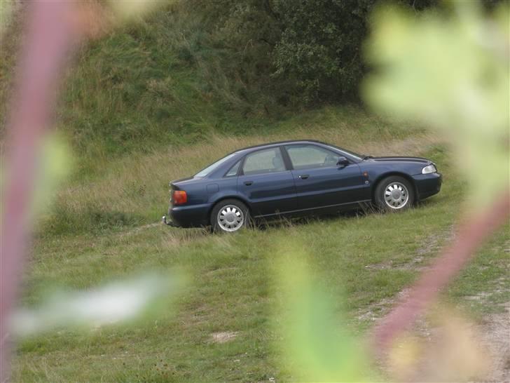 Audi a4 b5 billede 12