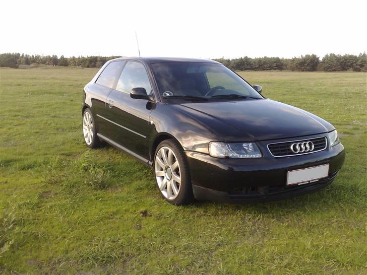 Audi A3 - Solgt billede 10