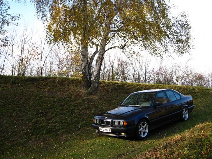 BMW 540i V8 • 6-speed • E34 billede 3