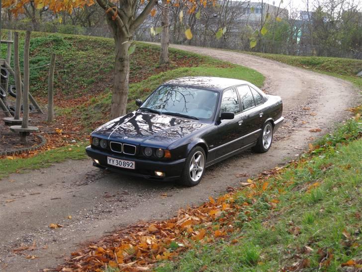 BMW 540i V8 • 6-speed • E34 billede 10