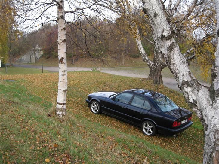 BMW 540i V8 • 6-speed • E34 billede 14