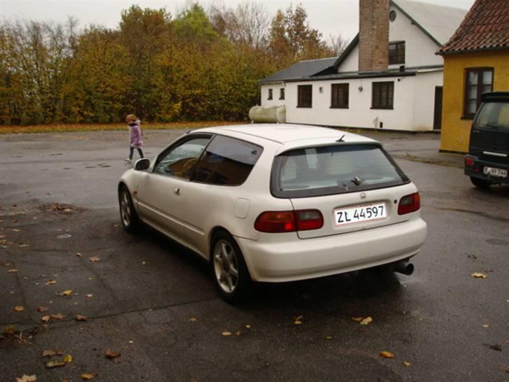 Honda civic eg billede 5