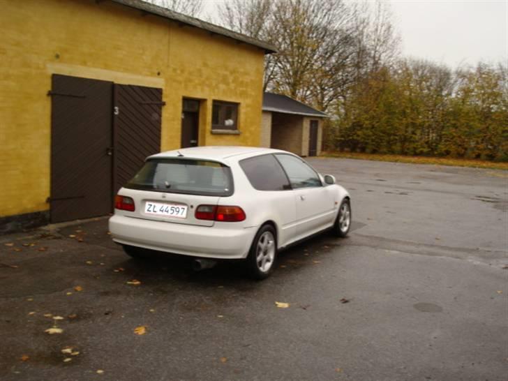 Honda civic eg billede 6