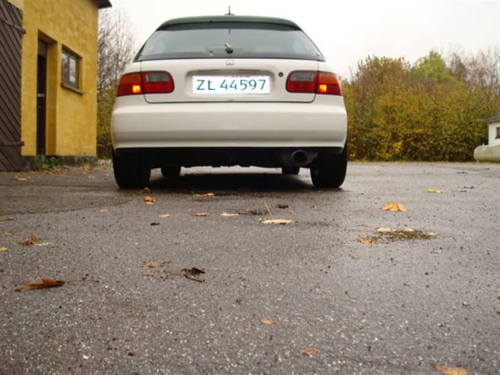 Honda civic eg billede 7