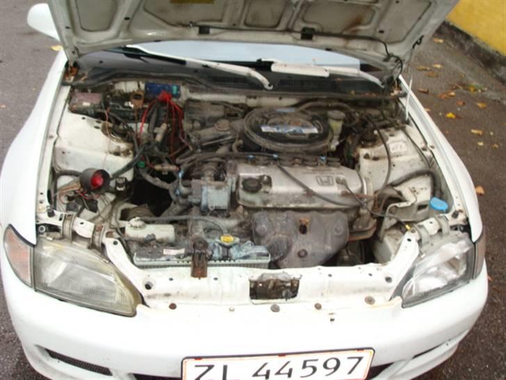 Honda civic eg billede 8