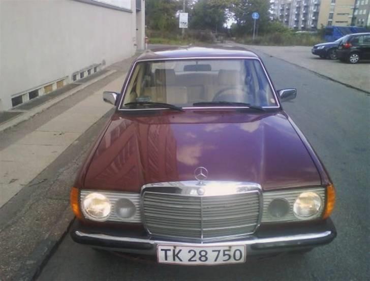 Mercedes Benz 230 E (W123) billede 1