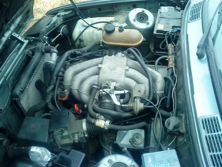 BMW 320i e30  billede 10