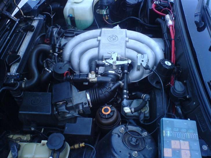 BMW E30 325i cabriolet billede 8