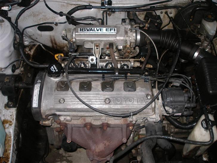 Toyota corolla  billede 2