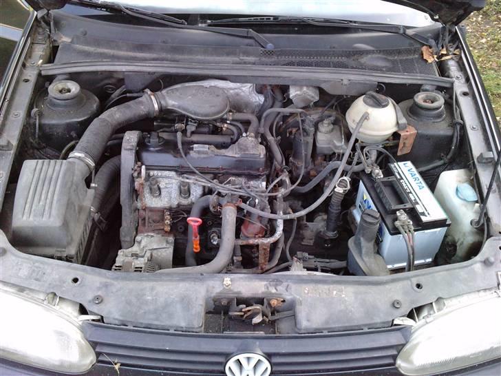 VW Golf Das Auto!   - Jaa .? Hvad skal man sige .? Der befinder de 90 vilde heste - samt et nyt batteri ?! :p billede 16