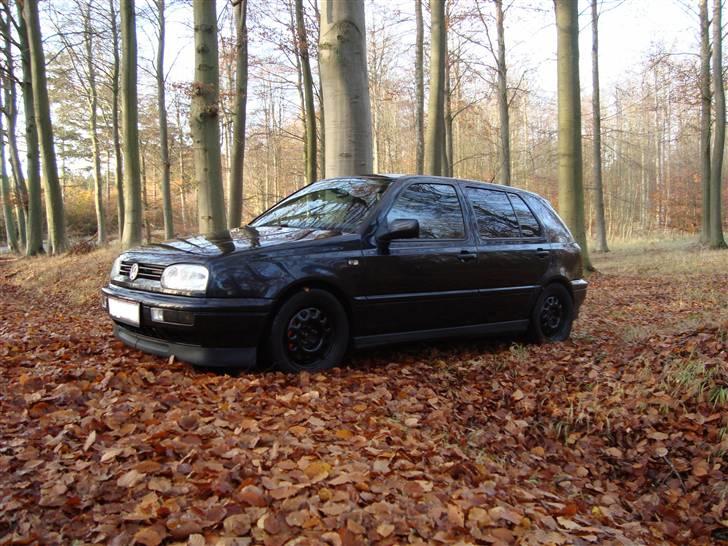 VW VR6 SYNCRO billede 7