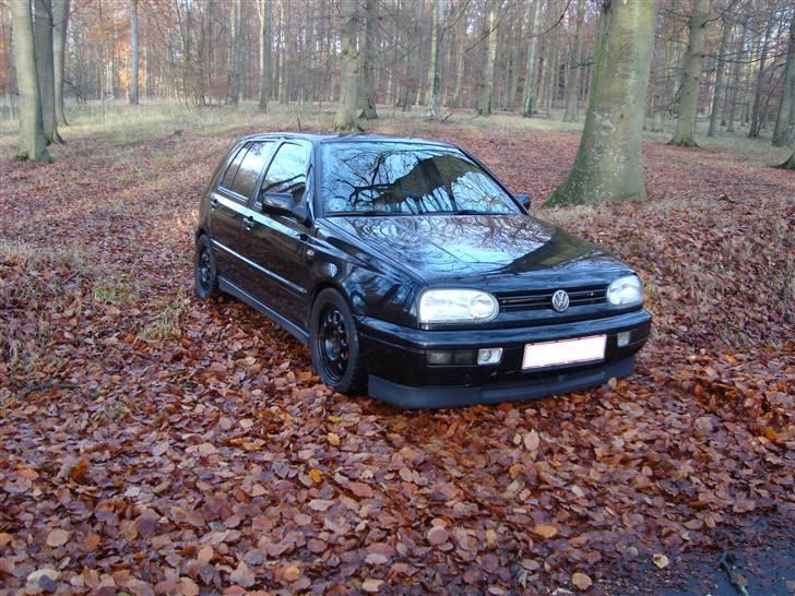 VW VR6 SYNCRO billede 9