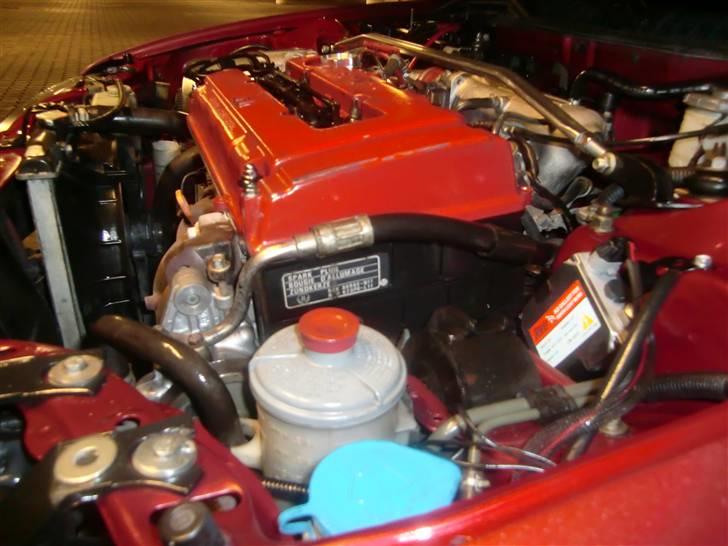 Honda civic vti elske den bare  billede 11