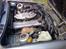 BMW E30 325i *SOLGT*
