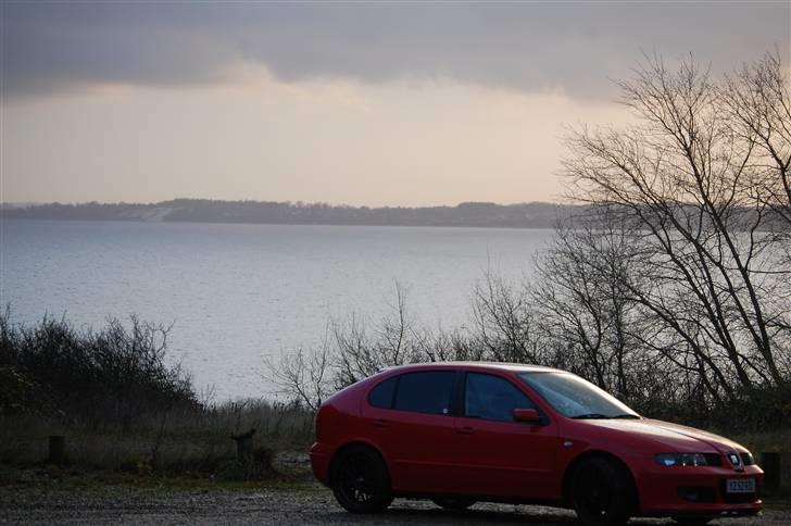 Seat -leon  billede 16