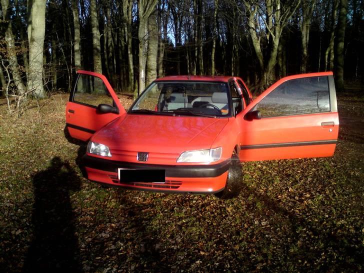 Peugeot 306 Atlantis billede 16