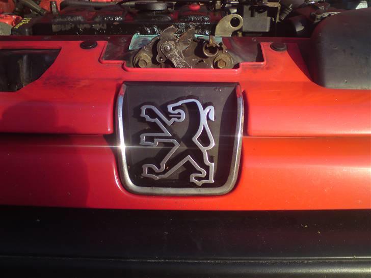 Peugeot 306 Atlantis billede 19