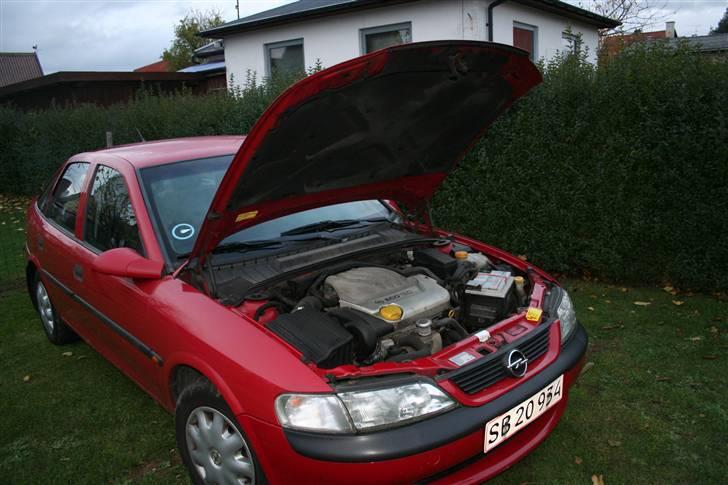 Opel Vectra B 1,6 16v billede 10