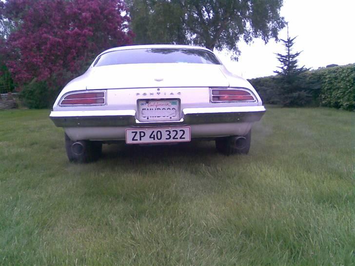 Pontiac Firebird Formula 400 billede 3