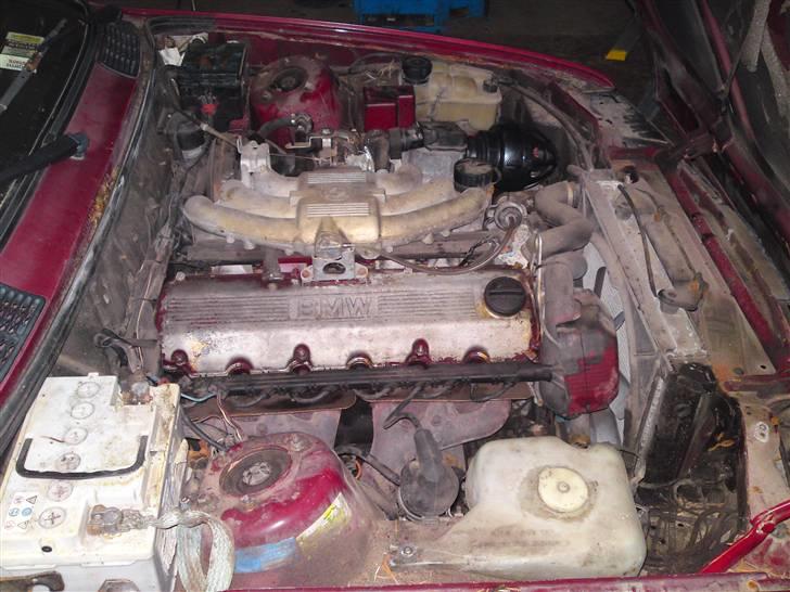 BMW 320i E30 [SOLGT] billede 15