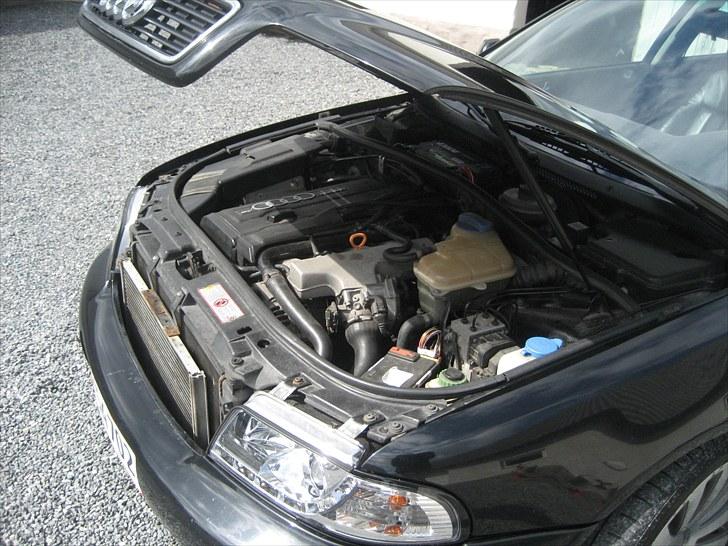 Audi A4 b5 1,8T  - maj 2010 billede 10