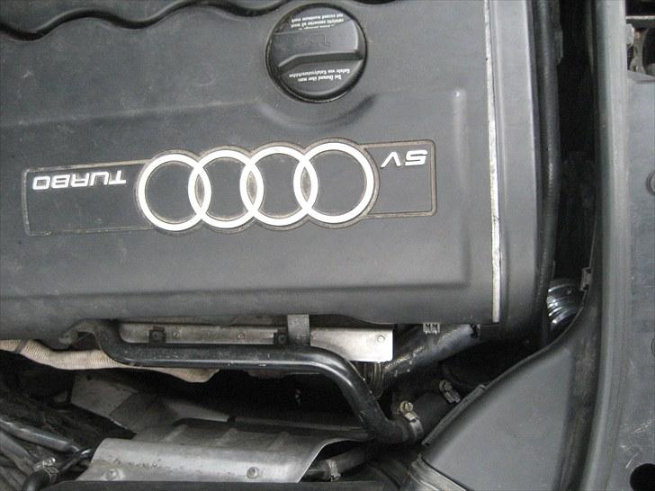 Audi A4 b5 1,8T  - maj 2010 billede 12