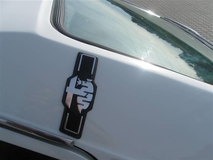 Alfa Romeo SUD - Alfa mærker de varmer i hjertet billede 12