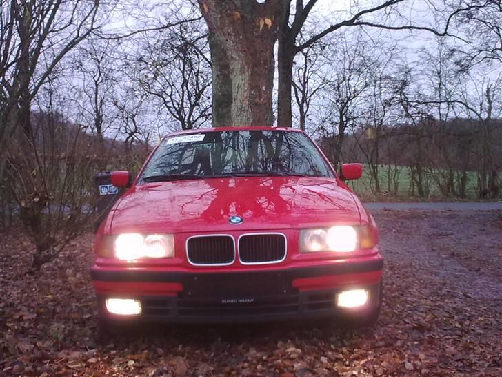 BMW E36 316i billede 1