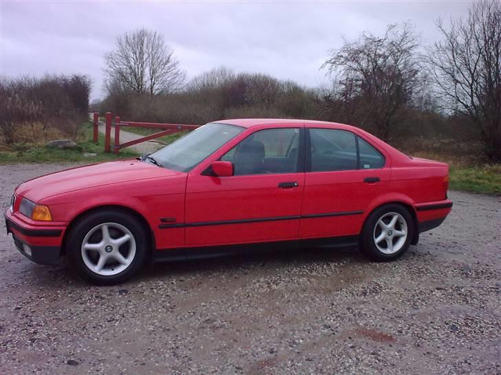 BMW E36 316i billede 2