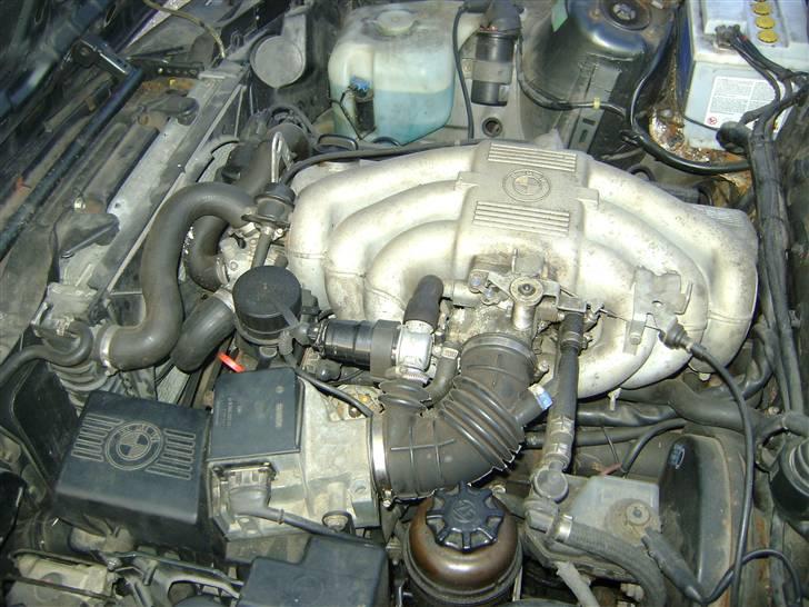 BMW E30 320i  billede 11